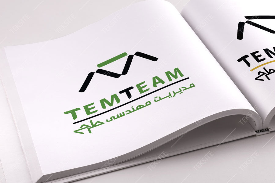 لوگو TemTeam