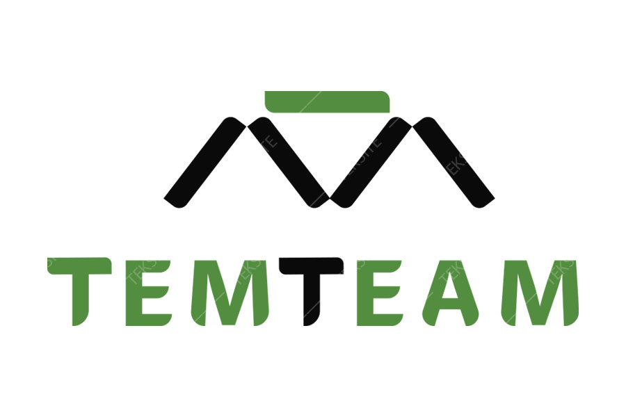 لوگو TemTeam